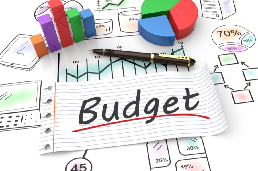Project budgeting & financial risk assessment