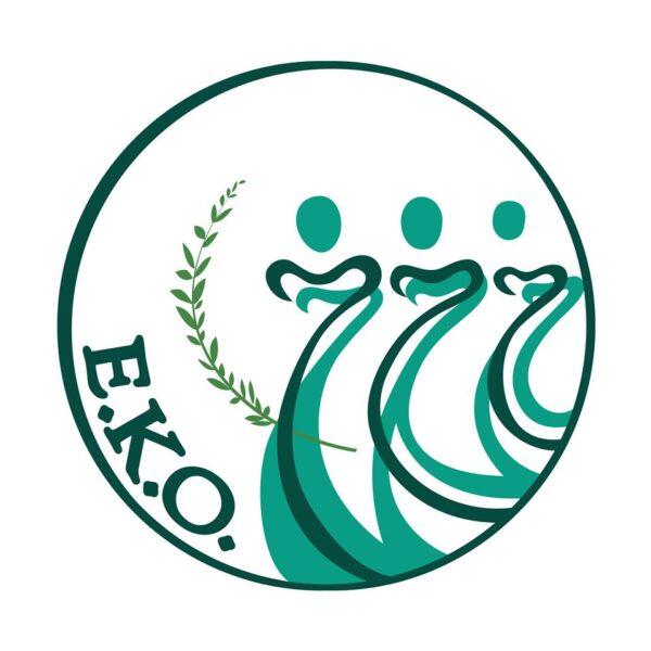 Entrepreneurship and Social Economy Group (EKO)